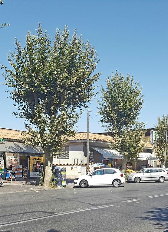 Casa Vacanze Giramondo Fiumicino Exteriér fotografie
